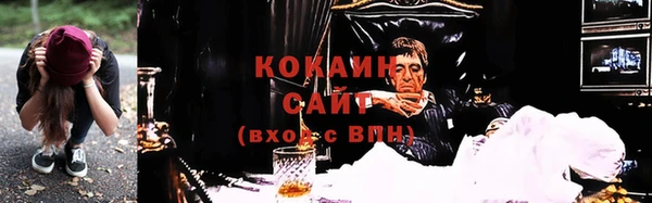 СК Сосновоборск