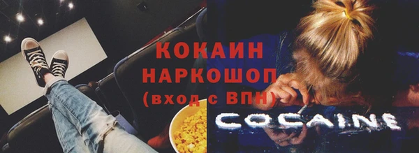 гидра Сосновый Бор