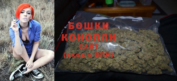 гидра Сосновый Бор
