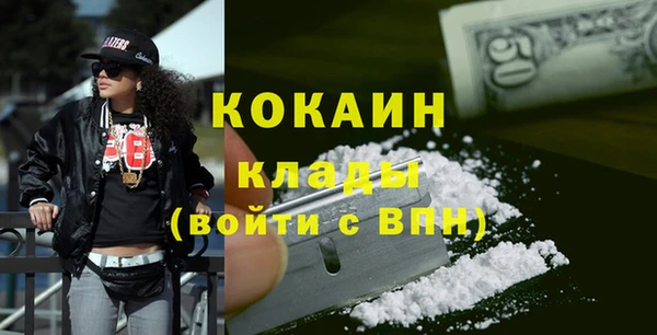 гидра Сосновый Бор