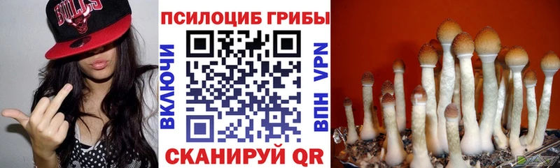 магазин  наркотиков  Новое Девяткино  Галлюциногенные грибы Psilocybe 